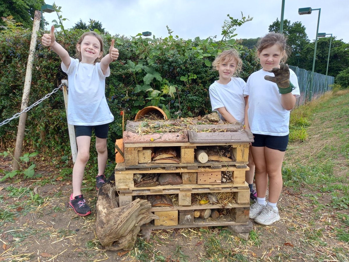 BeeBoldPensford's tweet photo. Thank you to the members of the @PensfordPrimary Eco Team who helped me build a bug hotel on the recreation ground the other day. Thank you also to @votedannorris our Metro Mayor who came along in support of @BeeBoldPensford &amp; the new @Buzz_dont_tweet campaign. @WestofEnglandCA https://t.co/8sZq2RLA0M