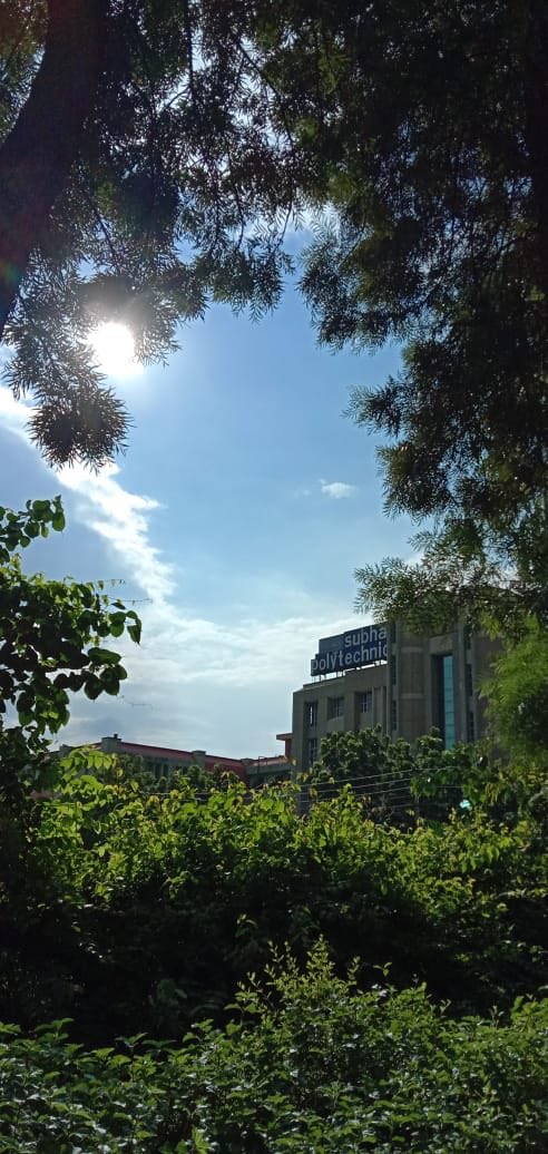 Kirti61886739's tweet photo. #naturelovers #loveimage #subhartimedicalcollege 🥀❤️☘️🌱🌱🌳🍀 https://t.co/238S7bn1NY