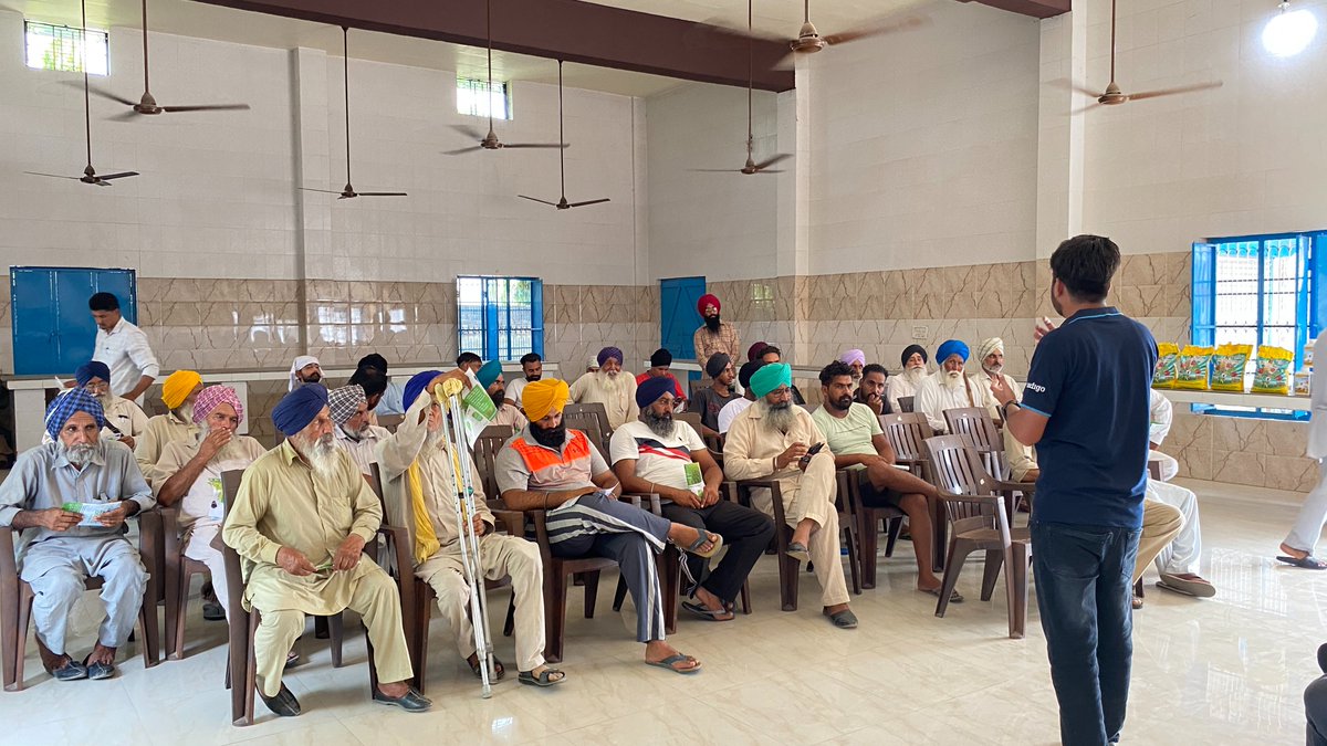 Grow Indigo tweet media