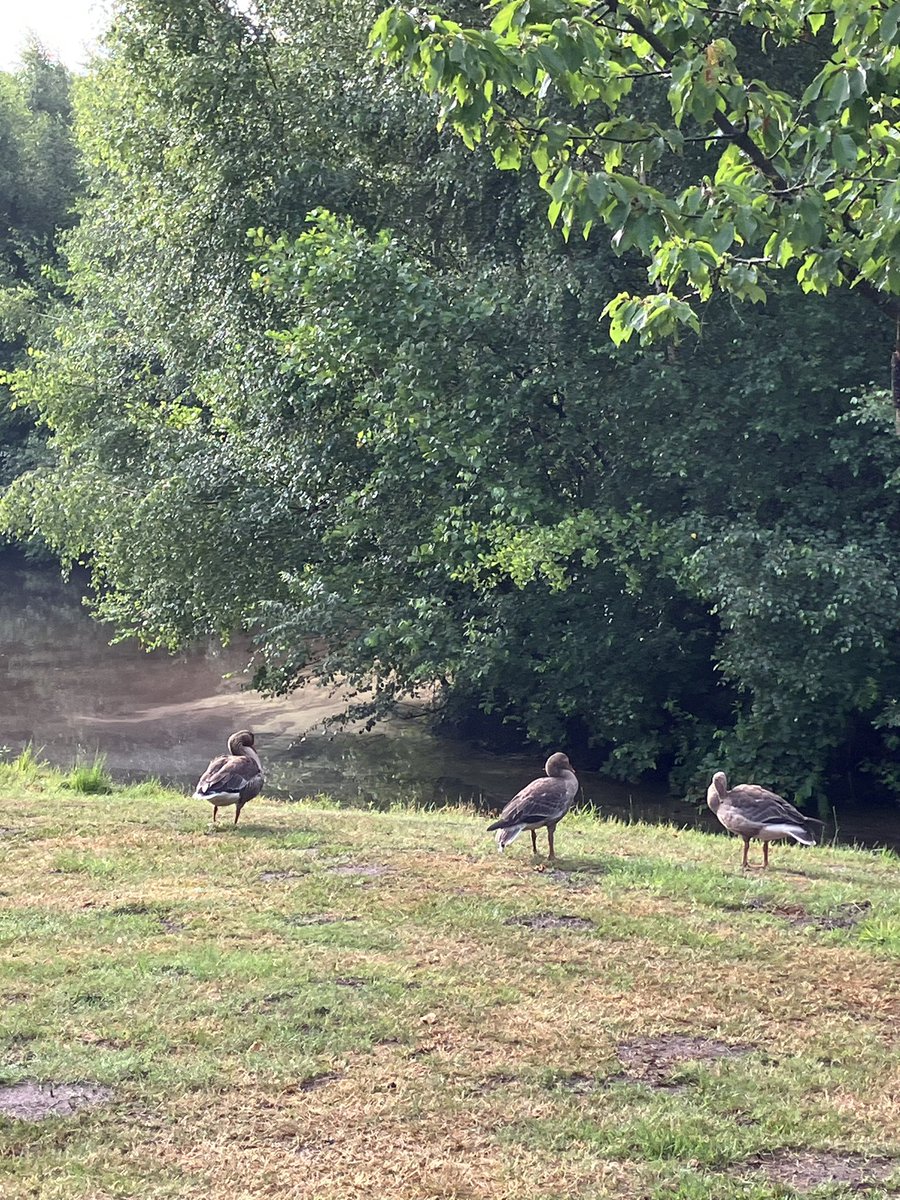 witblok's tweet image. Ik klaag niet 😃😃