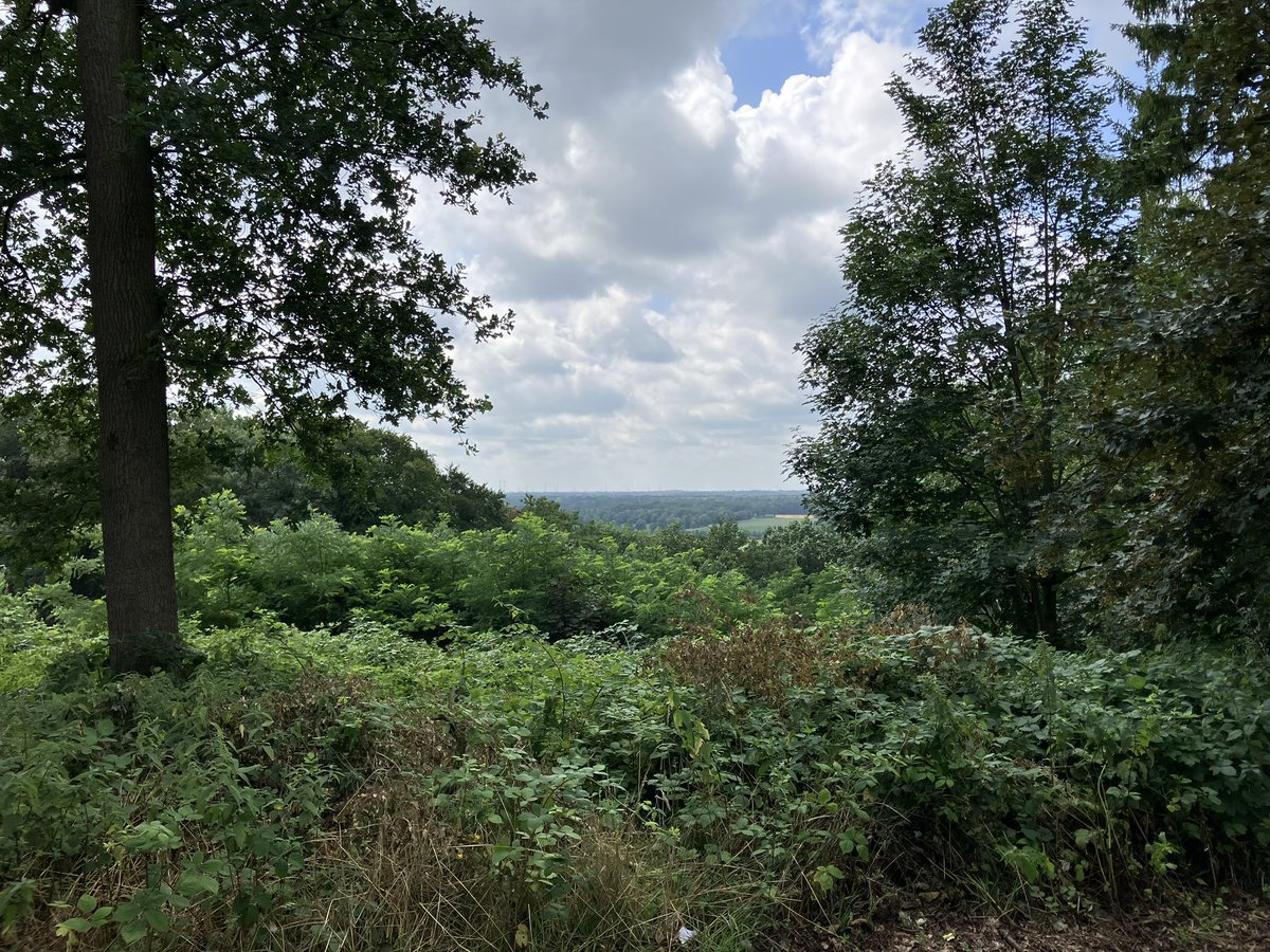 witblok's tweet image. Ik klaag niet 😃😃