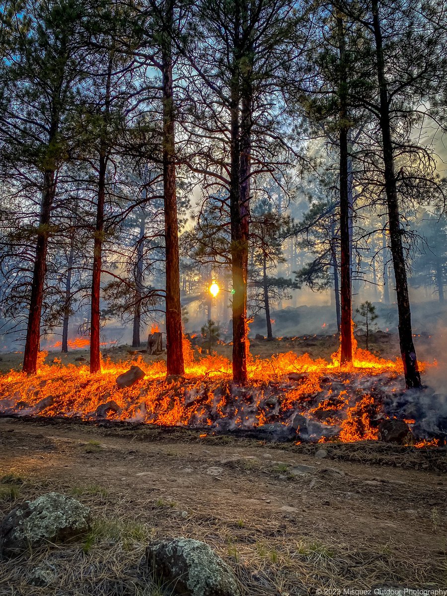 Hold Fast. Slaughter Mesa RX-2023-Gila National Forest, New Mexico. #newmexicotrue #goodfire #prescribedfire #landmanagement #views #gilanationalforest