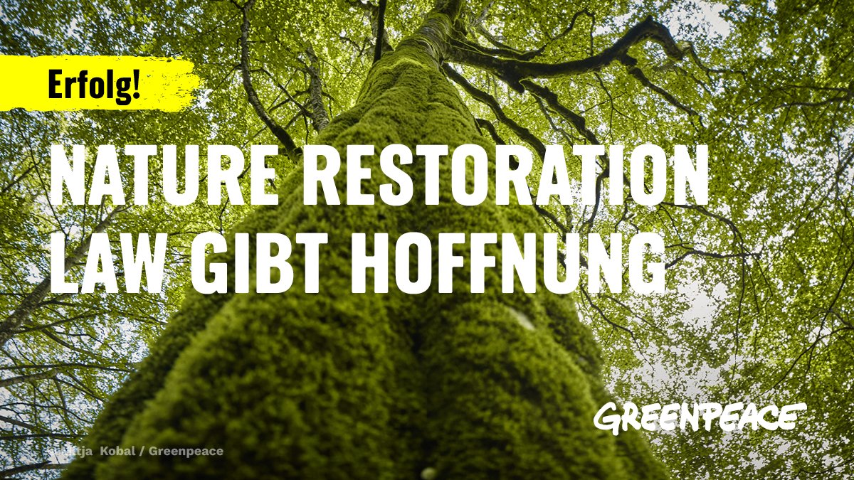💚Das EU-Parlament hat dem EU-Gesetz zur Wiederherstellung der Natur zugestimmt. 👏 #RestoreNature
“Angesichts einer weiteren #Hitzewelle in Europa ist klar, dass wir die Natur an unserer Seite brauchen, um den Klimazusammenbruch zu überleben”, so <a href="/martinkaisergp/">Martin Kaiser</a> (1/2)