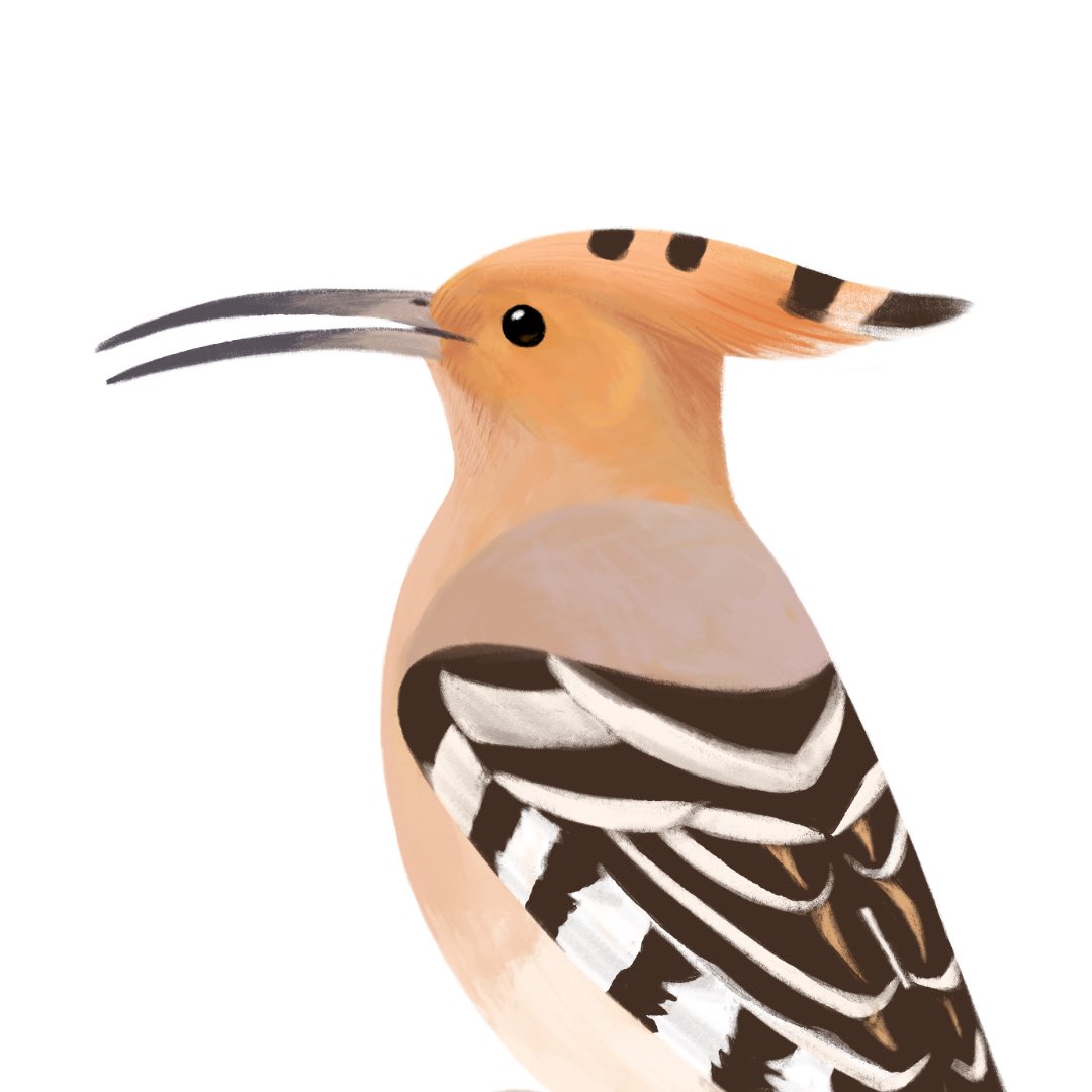 初めて描く気がする 楽しい