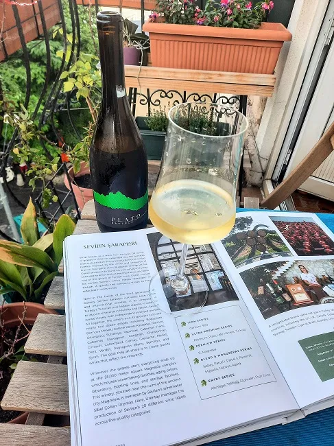 LemieuxAndrea's tweet photo. Sevilen's Plato series features high-end wines with native Turkish grapes. For years, this series only covered red wines. But now, Narince is here to play! https://t.co/QAi6E468aj
#winewednesday #turkishwine https://t.co/IP4Q2zZfY1