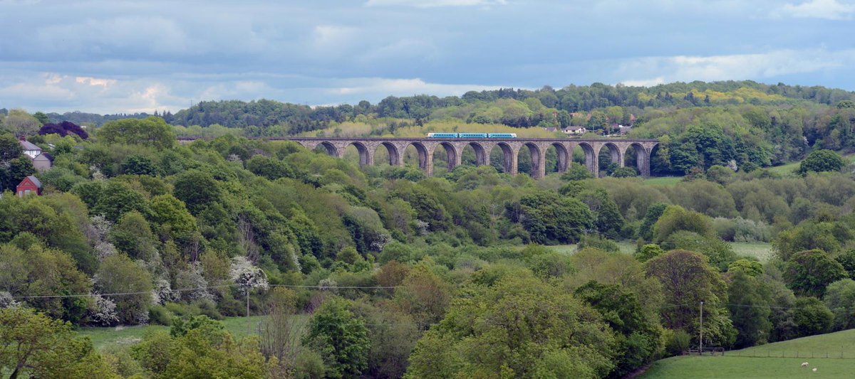 3CountiesCCRP's tweet photo. WIth the summer hols nearly upon us and days out being planned, @ScenicRailBrit #DaysOutByRail campaign aims to help raise awareness about rail being one of the greenest ways to travel.

Check out what to find on our #Chester to #Shrewsbury line.
https://t.co/8ysUigARzL https://t.co/2F2VNFNdFm