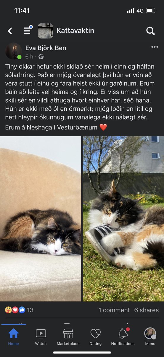 VESTURBÆR
nenniði að hafa augun opin fyrir eksku tiny okkar😭