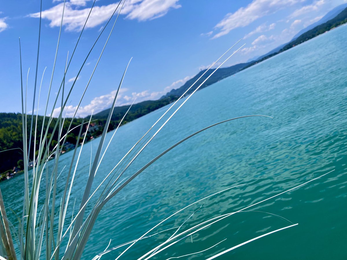 Sunshine and torrential rain = Summer 2023