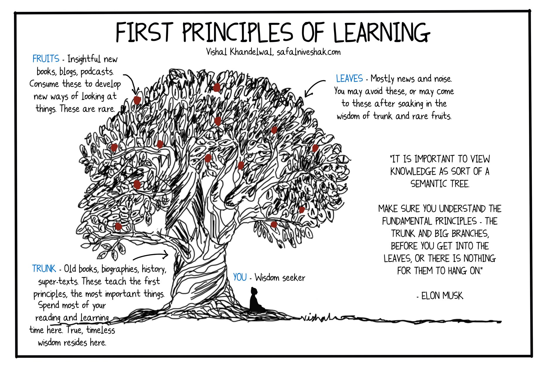 Vishal Khandelwal on X: "It is important to view knowledge as sort of a semantic  tree — make sure you understand the fundamental principles, i.e. the trunk  and big branches, before you