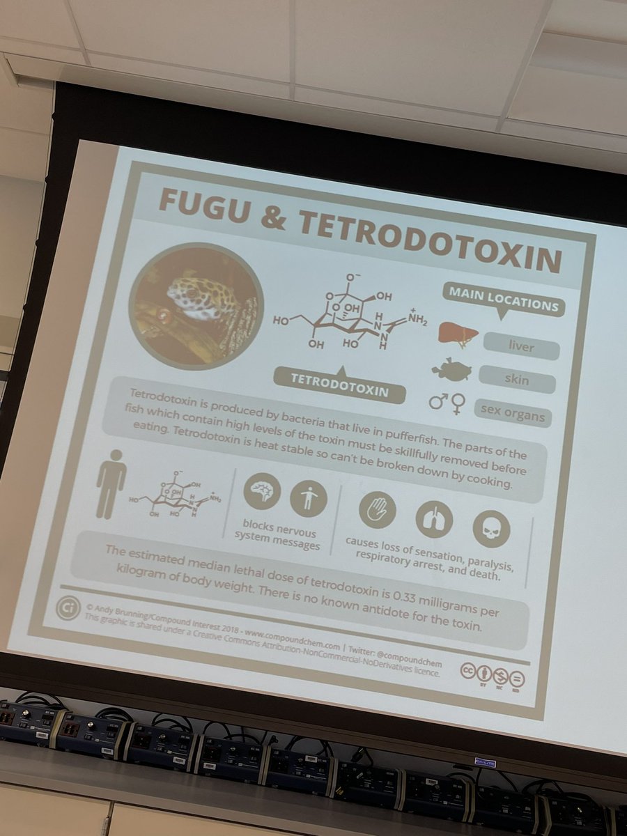 ahk10's tweet image. Day 3 is about to get started @HAEdOutreach GTAC Unity &amp;amp; Diversity. Here are some pictures from day 2! Phylogenetic tree building, TTX coevolution, and the amazing @JenHutchEDU   ♥️🧬👩🏻‍🔬