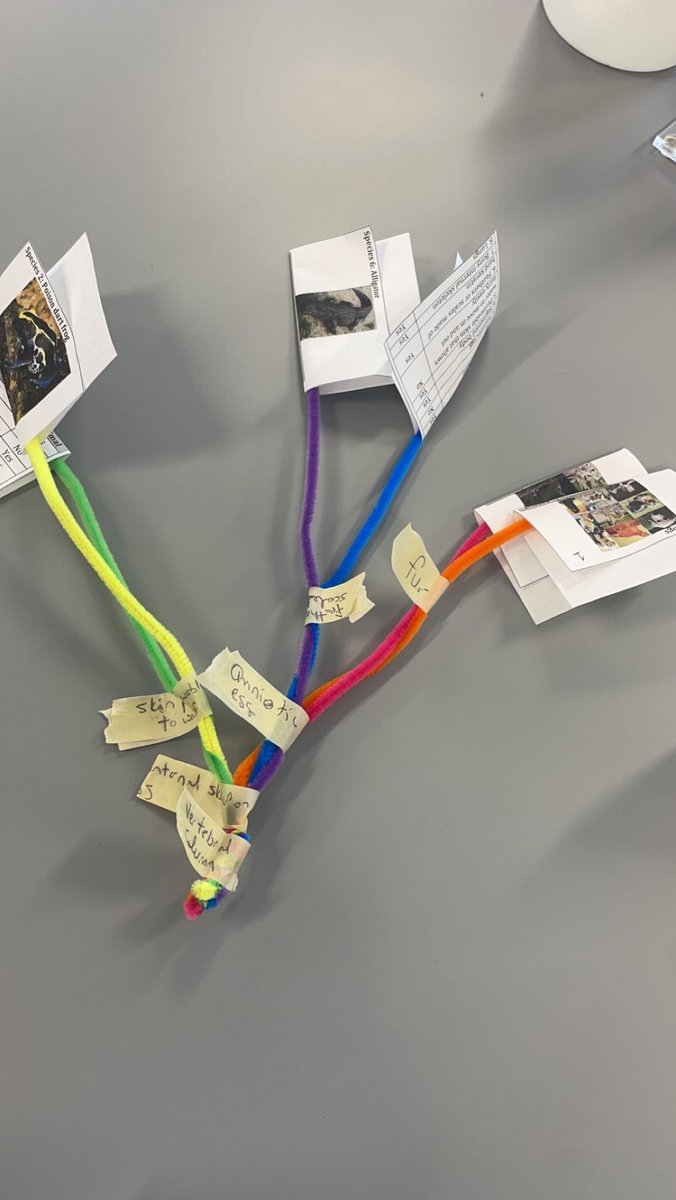 ahk10's tweet image. Day 3 is about to get started @HAEdOutreach GTAC Unity &amp;amp; Diversity. Here are some pictures from day 2! Phylogenetic tree building, TTX coevolution, and the amazing @JenHutchEDU   ♥️🧬👩🏻‍🔬