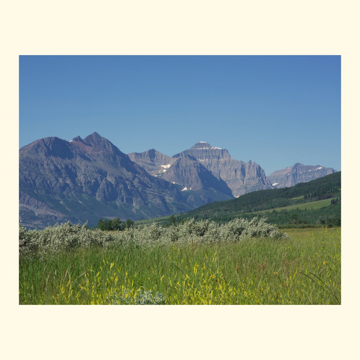 I wanna go back to Montana of old
To the way it used to be or so I was told
-Montana by The City and the Sea #montana #thecityandtheseamusic  #folksinger #girlguitarist #nature #glaciernationalpark