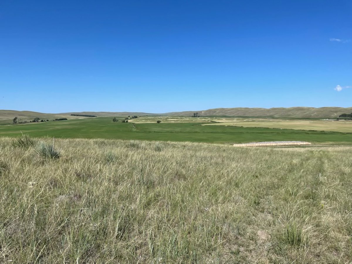 SUBIRRIGATED MEADOW HAY HARVEST – Jerry Volesky July traditionally means the beginning of the haying season for Sandhills subirrigated meadows.   Harvest date affects hay quality-&gt; crude protein and energy decline as plants become stemmy and mature…