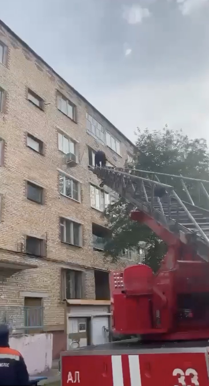 Холод on Twitter: \"В Подмосковье хозяевам квартиры пришлось вызывать ...