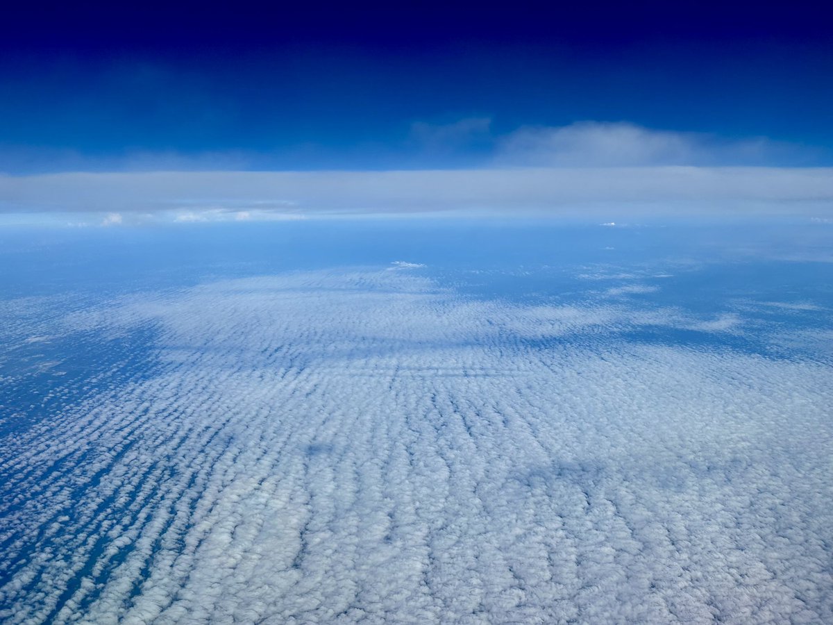GarofaloWX's tweet image. You know you&apos;re a meteorologist when you are excited to see gravity waves AND a thunderstorm flying into Florida 🥰 I can&apos;t be alone 😂 #flwx #meteorologist #thesimplethings