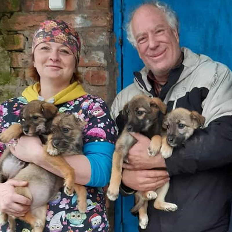 DOGS &amp; CATS LEFT BEHIND IN UKRAINE ARE SUFFERING ➡️ link.chtbl.com/sufferinginukr…

Daniel Fine talks about the plight of pets that had to be abandoned during the war and his nonprofit War Animals Relief Fund <a href="/uwarf1/">Ukrainian War Animals Relief Fund</a>.
