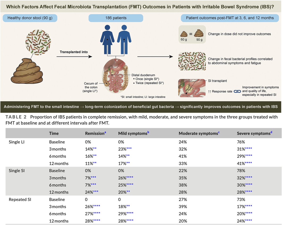 Rajan___Singh's tweet photo. Such an elegant work! @NGMJournal #GutMicrobiota Lovers!🔥
Prof. #MagdyElSalhy & colleagues👏
✅#FMT in #SmallIntestine had a long-term⬆️#ResponseRate🆚#FMT in #LargeIntestine, led to long-term #colonization of #beneficial🦠 #IBS patients
@ANMSociety @esnm_eu #GItwitter
✔️Check out for open🔥questions and prospects!
https://t.co/bsK9QxT1Jh