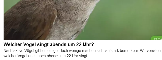 Ornithologen            Budsens Nachbarn

                              🤝