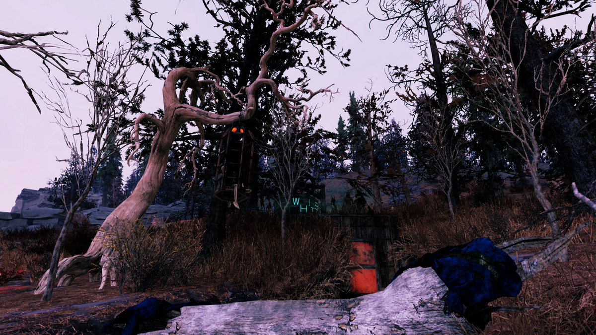 white31864779's tweet photo. New CAMP🏕
【モスマン教信者の隠れ家🦉🦋】
#Fallout76camp
#Falloutcamp
#CBU76
#Fallout76 https://t.co/kdqH6tmsyK