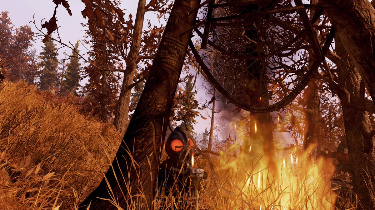 white31864779's tweet photo. New CAMP🏕
【モスマン教信者の隠れ家🦉🦋】
#Fallout76camp
#Falloutcamp
#CBU76
#Fallout76 https://t.co/kdqH6tmsyK