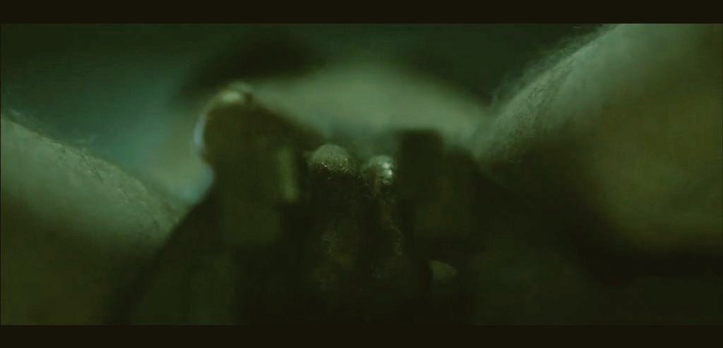 Are there guys, whose balls you would love to put under such pressure? 🥵🤤💭💦