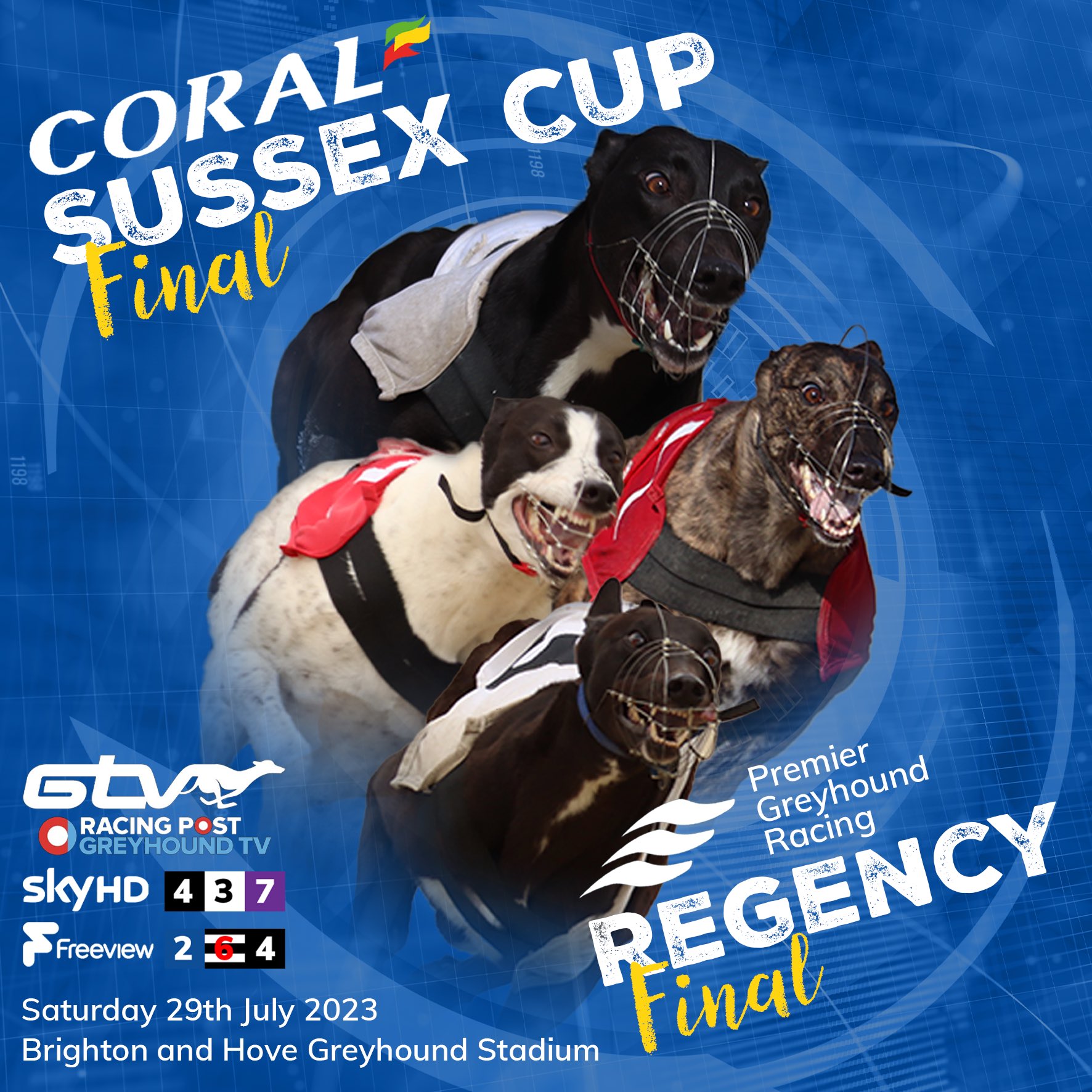 Hove Greyhound Racing Results – Brighton & Hove Racing – BOVS