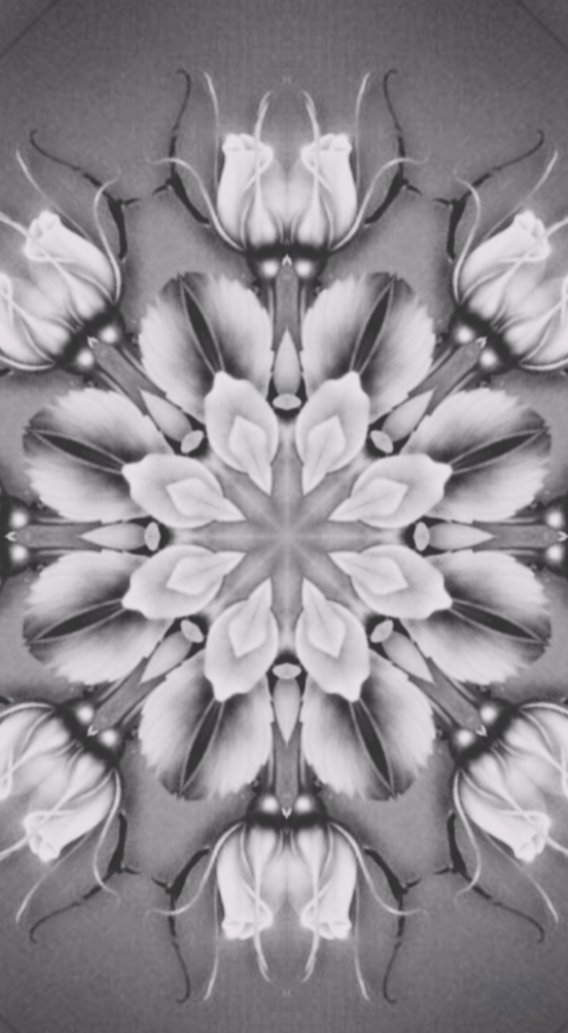 eprestigenft's tweet photo. Grey and White #Nfts

https://t.co/BEewI5jrWG

#NFTGiveaways #NFTGiveaway #NFTCommuntiy #NFTMarketplace #nftcollectors #NFTdrop #NFTdrops #rocknroll #NFTcollections #nftbuy #NFTCommmunity #nftart #NFTartist #nft #NFTbuyers #NFTBot #NFTcollections #NFTs #NFTCollection  #NFT #nfts https://t.co/UXZOiJL5Nk