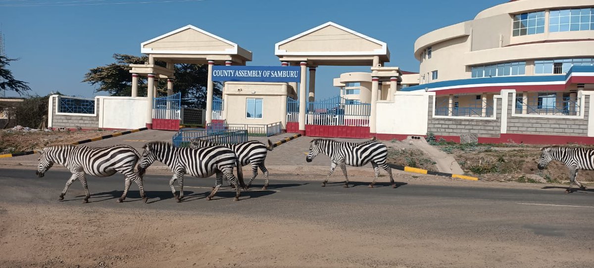 -Dennis Itumbi, CBS tweet media