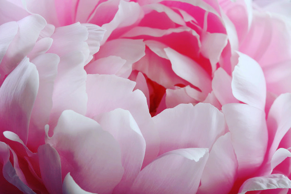 astrologyzone's tweet photo. Friday July 14 is one the sweetest days of the month💗 The sun will be in conversation with Uranus  in a very positive way so a thrilling surprise could come up.    
With the Moon in Gemini, the sign of twins, you might encounter exciting surprises! https://t.co/Mmj1hsCxKJ