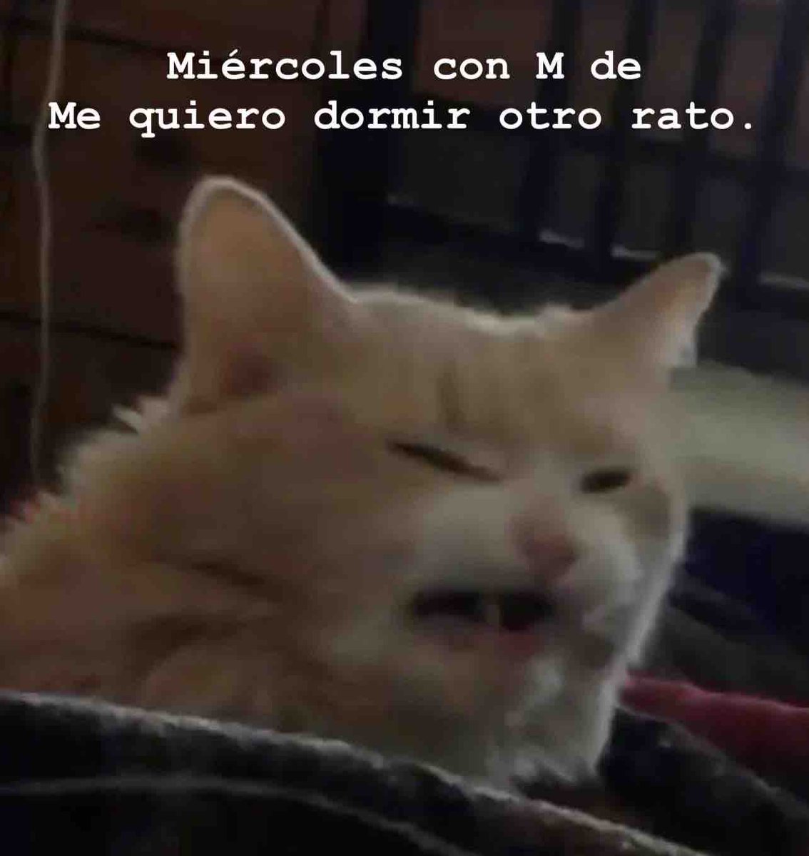 El Guarromántico (@guarromantico_) on Twitter photo 