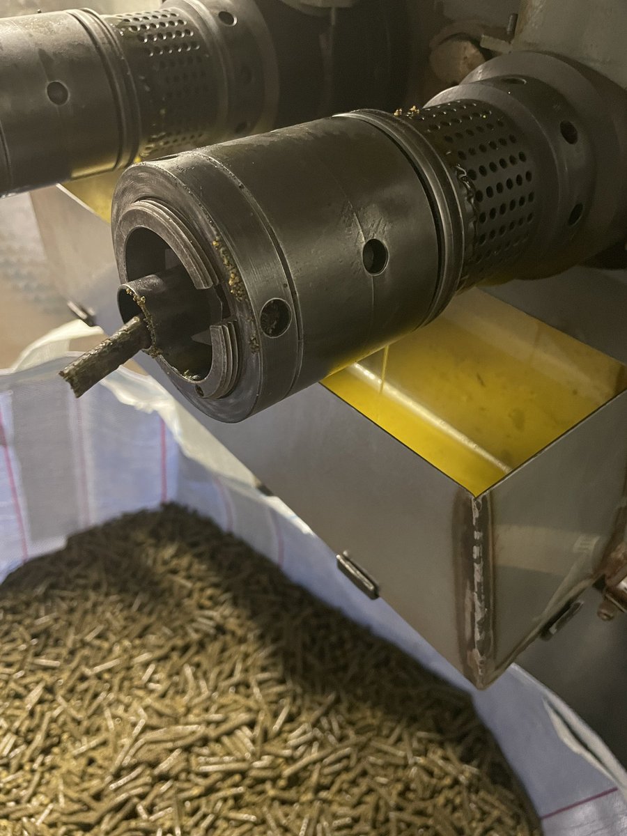 midoxgatefarm's tweet photo. Pressing batch 0007 of our BLOCK 275 Cold Pressed Canola Oil. Delighted I got it started on my first attempt by myself - but not looking forward to the 3 hourly changeovers for the next week…
#bondbatch #paddocktoplate #knowyourfarmerknowyourfood https://t.co/9RjQS1IbQN