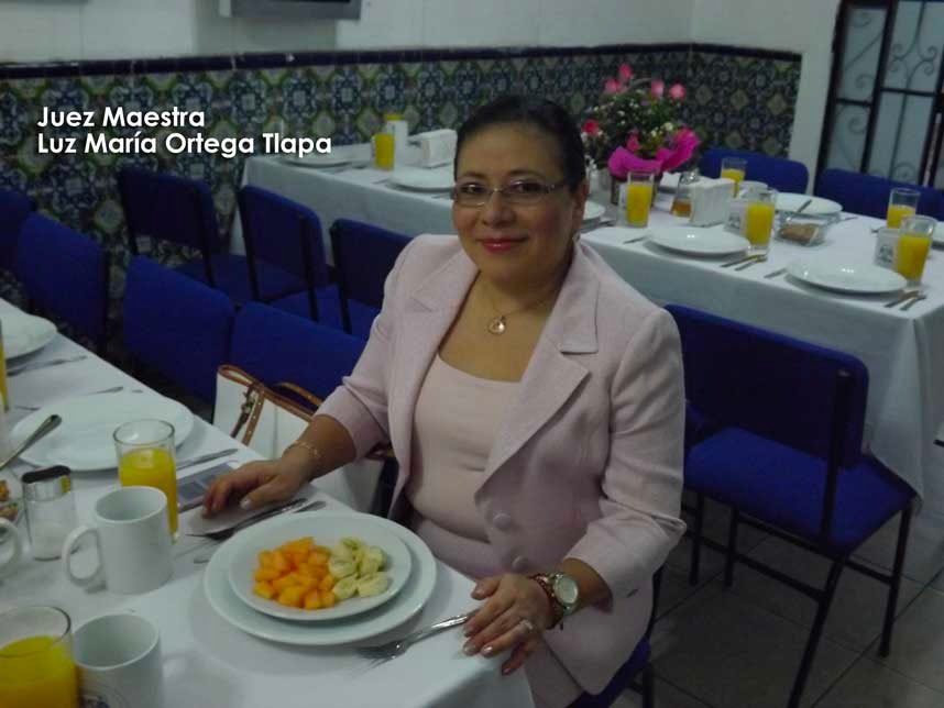 eseleyva1's tweet photo. Hay juezas que diario arruinan la vida de personas sin ninguna consecuencia. Es la tercera denuncia que se presenta ante el @CJF_Mx contra la Jueza Luz María Ortega Tlapa por irregularidades en distintos juicios a favor de Isabel Miranda Torres y en perjuicio de #BrendaQuevedo https://t.co/MWowGsvOCu