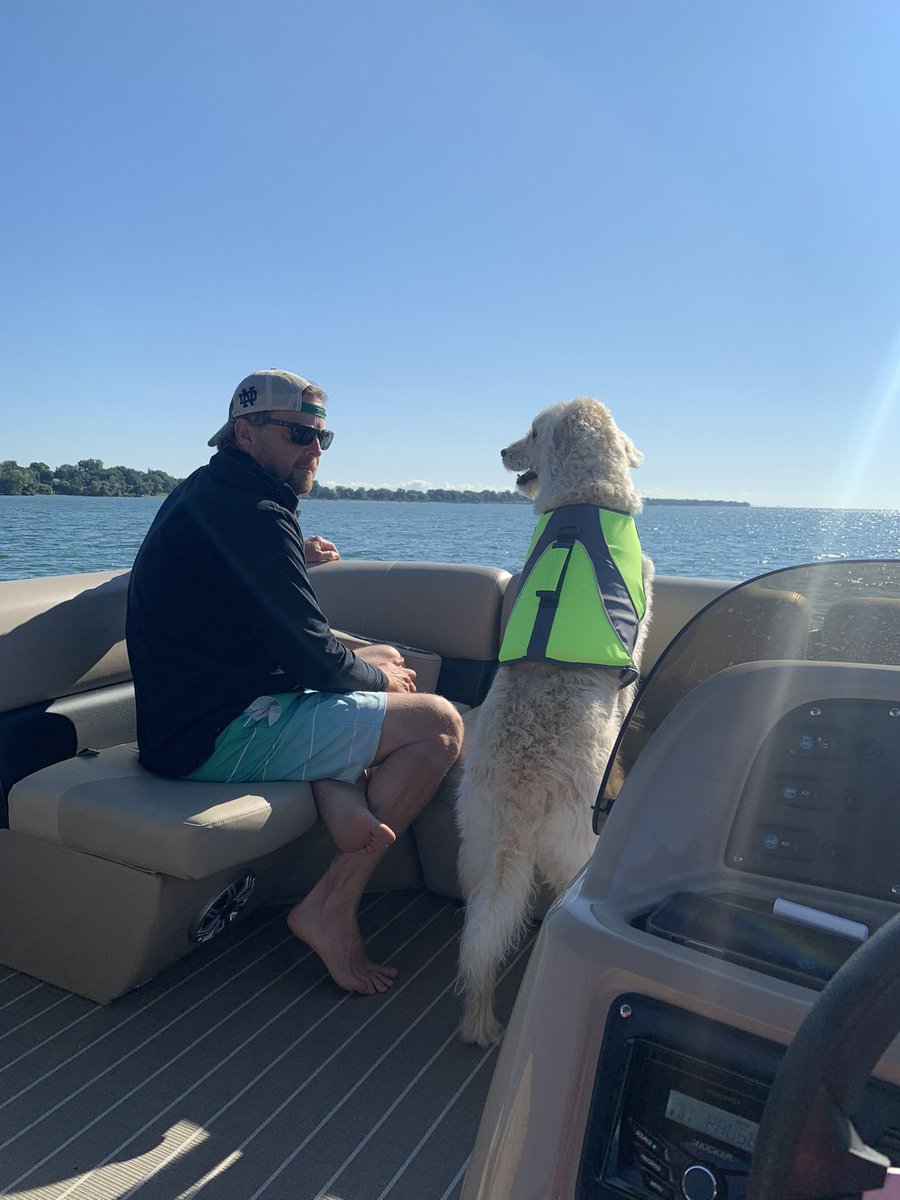 james_dannemann's tweet image. I found that not more than 7 days would go by without a new pic on my phone of my best bud. He always gave me a look or made me laugh … Today is a hard day and I am really missing take new pics with this angel #jobee