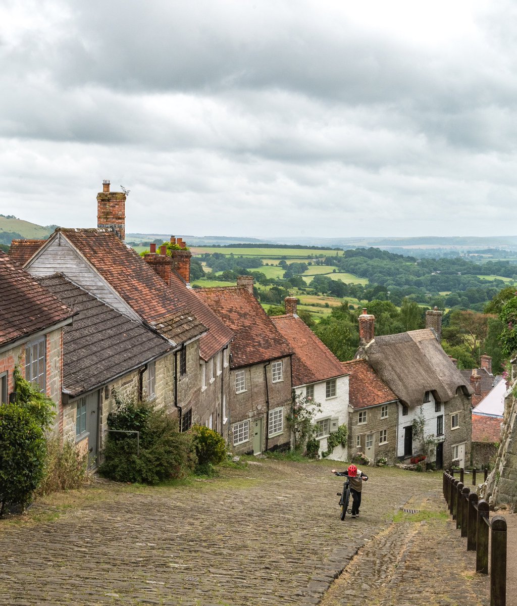 Robin Cooper tweet media