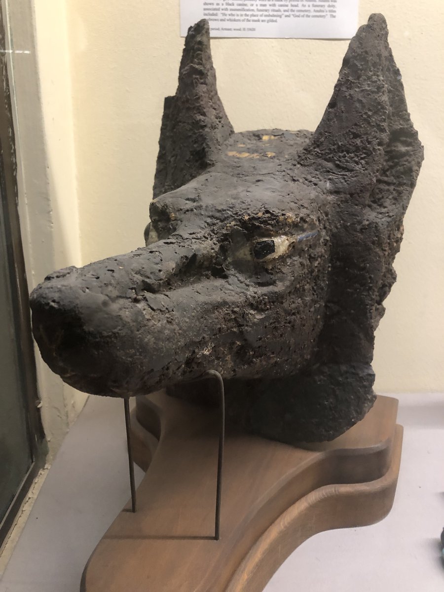 Tom the Scribbler 🇵🇸 🏳️‍⚧️ tweet media