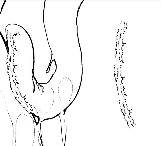 触手を描くために作ったブラシ 