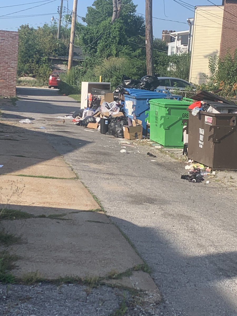 roomainstl's tweet photo. @stlcsb in alley between 4200 block of VA and La needs extra bins https://t.co/0fIkh6oXAX