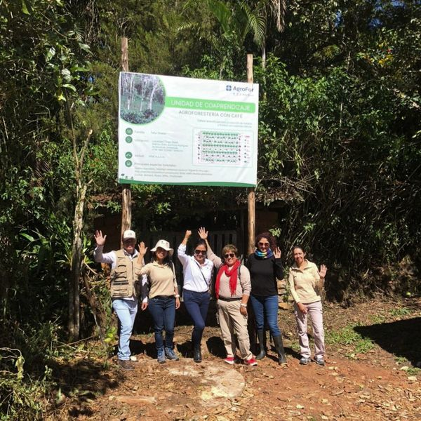 LandAllianceLAC's tweet photo. #DesdeElCampo 🇵🇪
CIFOR-ICRAF viene promoviendo las buenas prácticas de #agroforestería en la provincia de Rodríguez de Mendoza, región Amazonas, en el marco del proyecto AgroFor, orientado a la promoción de las Cesiones en Uso para Sistemas Agroforestales (#CUSAF). https://t.co/CyUuitTJTi