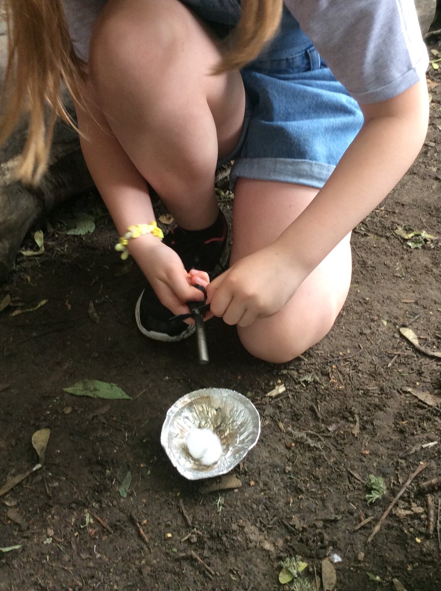 bps_y4's tweet photo. More pictures of making fairy fires as part of forest schools. https://t.co/CpCNdIHe7U