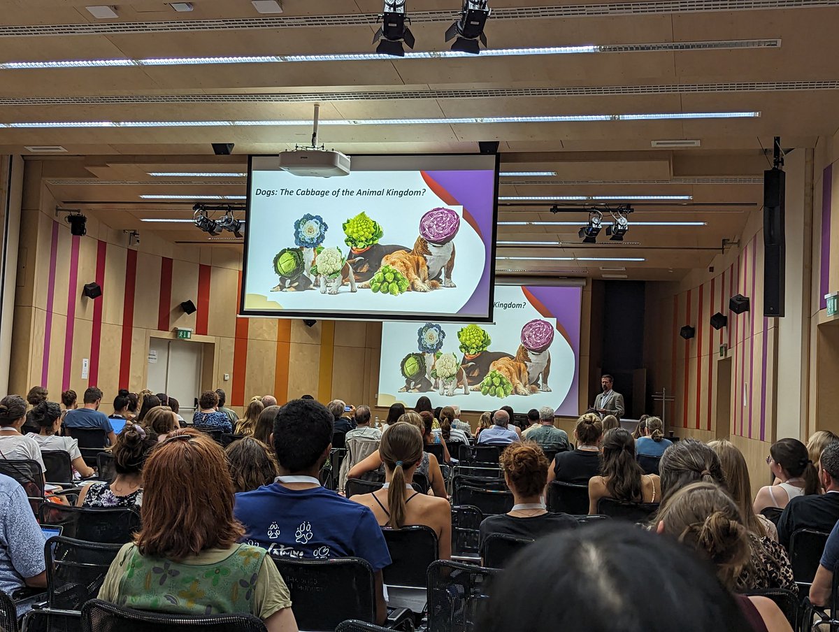 Tamas Farago (tamsa) (@tamsa42) on Twitter photo Excellent talk on the <a href="/DogAgingProject/">Dog Aging Project</a> by <a href="/SilvanUrfer/">Silvan R. Urfer</a> and of course cabbages! Excellent talk on the <a href="/DogAgingProject/">Dog Aging Project</a> by <a href="/SilvanUrfer/">Silvan R. Urfer</a> and of course cabbages!