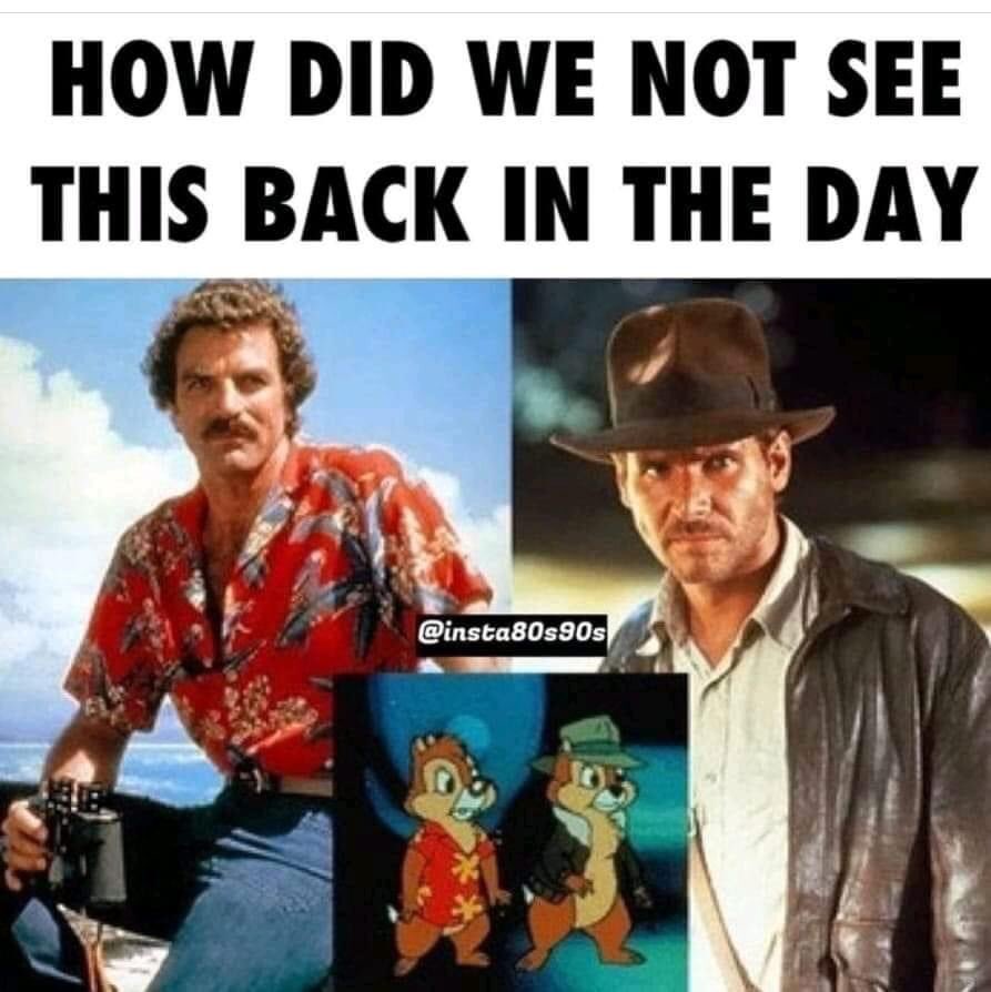 Puck 💙🏒🏈🌊🏝️🐱🐶 tweet media