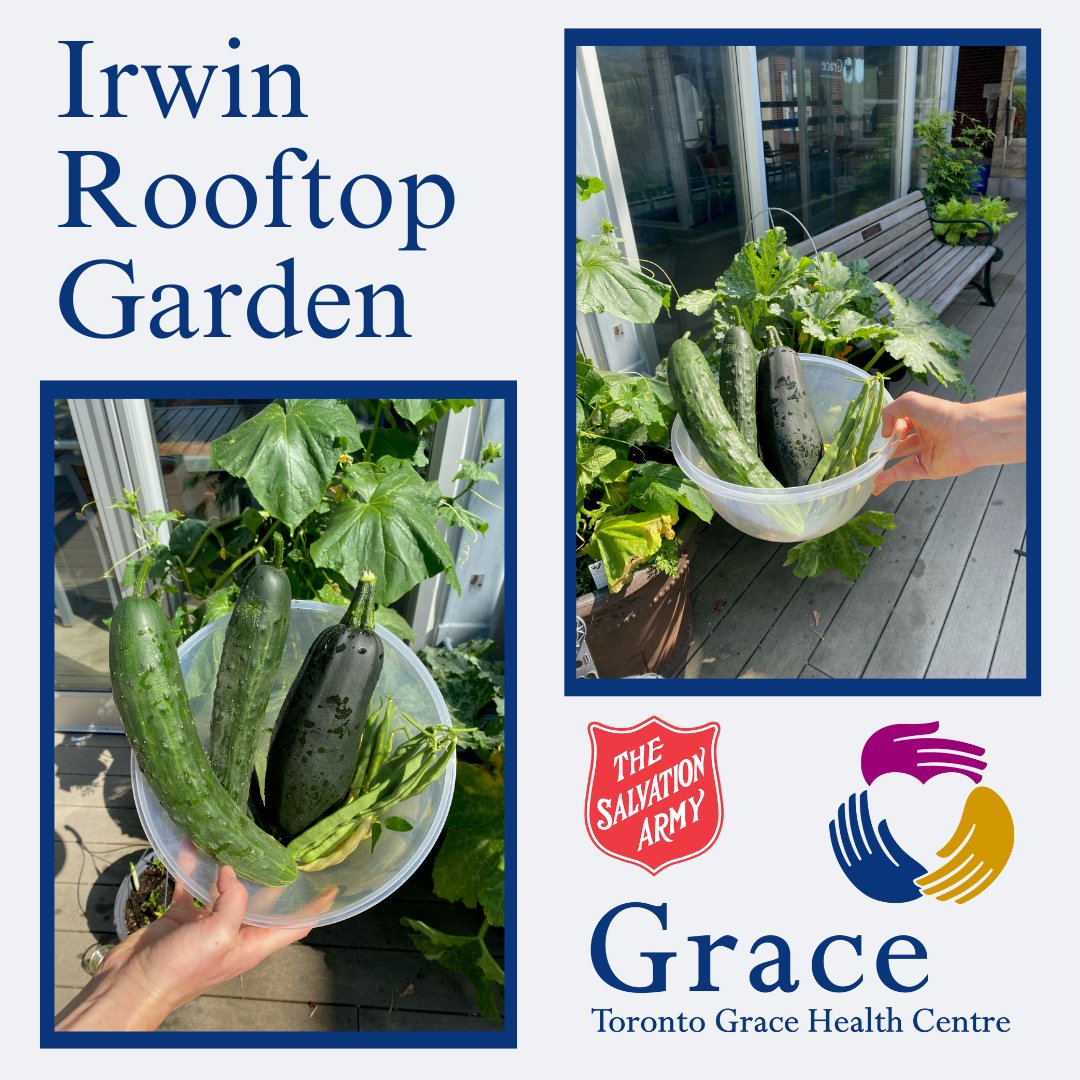 🌿 Grown with love and dedication by our incredible patients at the Irwin Rooftop Garden, these vibrant veggies are a testament to the exceptional and compassionate care displayed at the TGHC. 

Together, we embrace the journey of growth and healing. 🌱 

#TGHC #ExceptionalCare