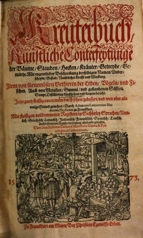 HadoVerde's tweet photo. La primera referencia europea escrita sobre el uso medicinal del humo del cáñamo aparece en el Kreuterbuch, el enorme compendio de hierbas del siglo XVI escrito por Tabernaemontanus, un médico alemán de Basilea, Suiza.🌿🧑‍🏫 #kreuterbuch #cannabishistory https://t.co/mE6OHxZhf1