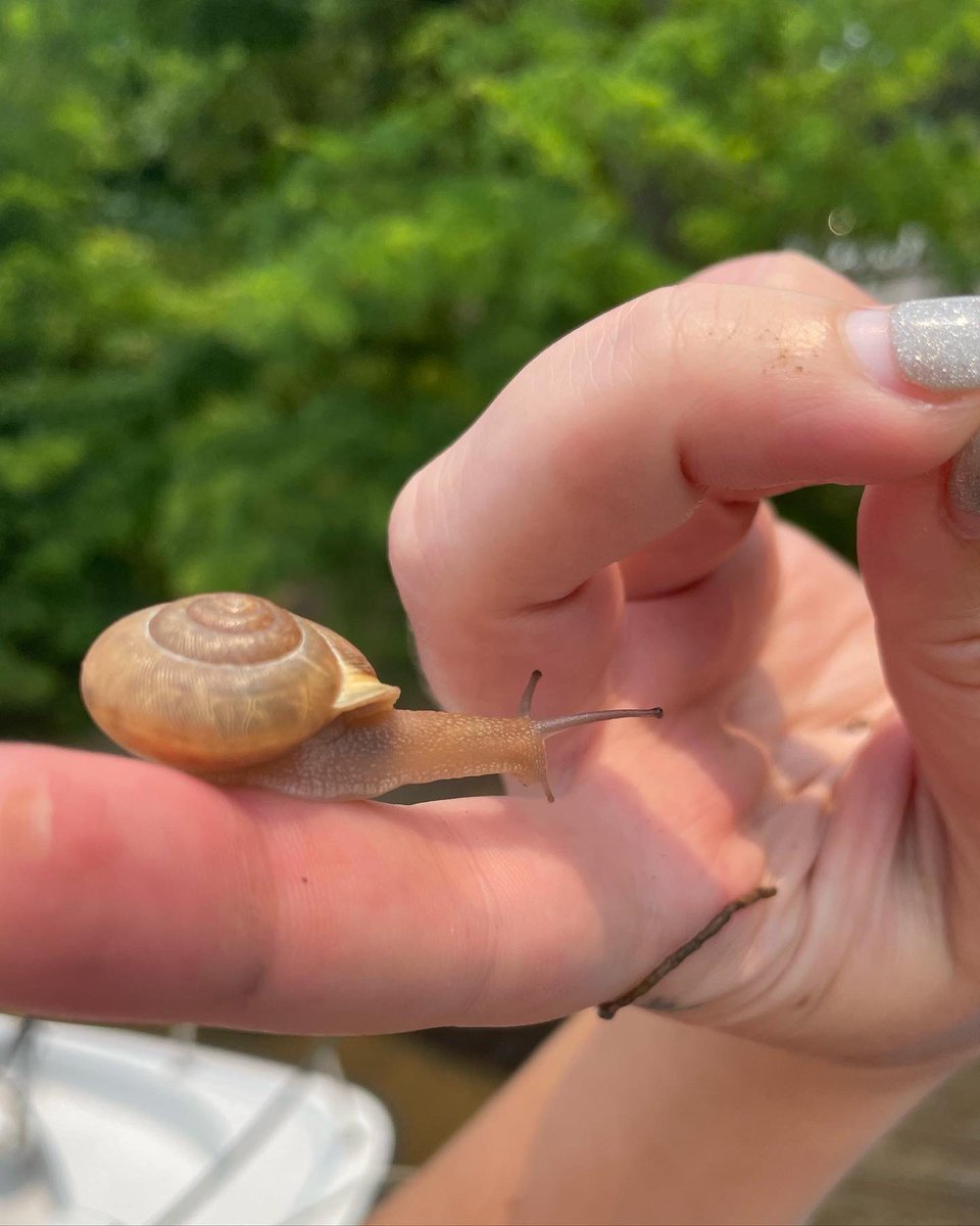 snaily🐌 tweet media