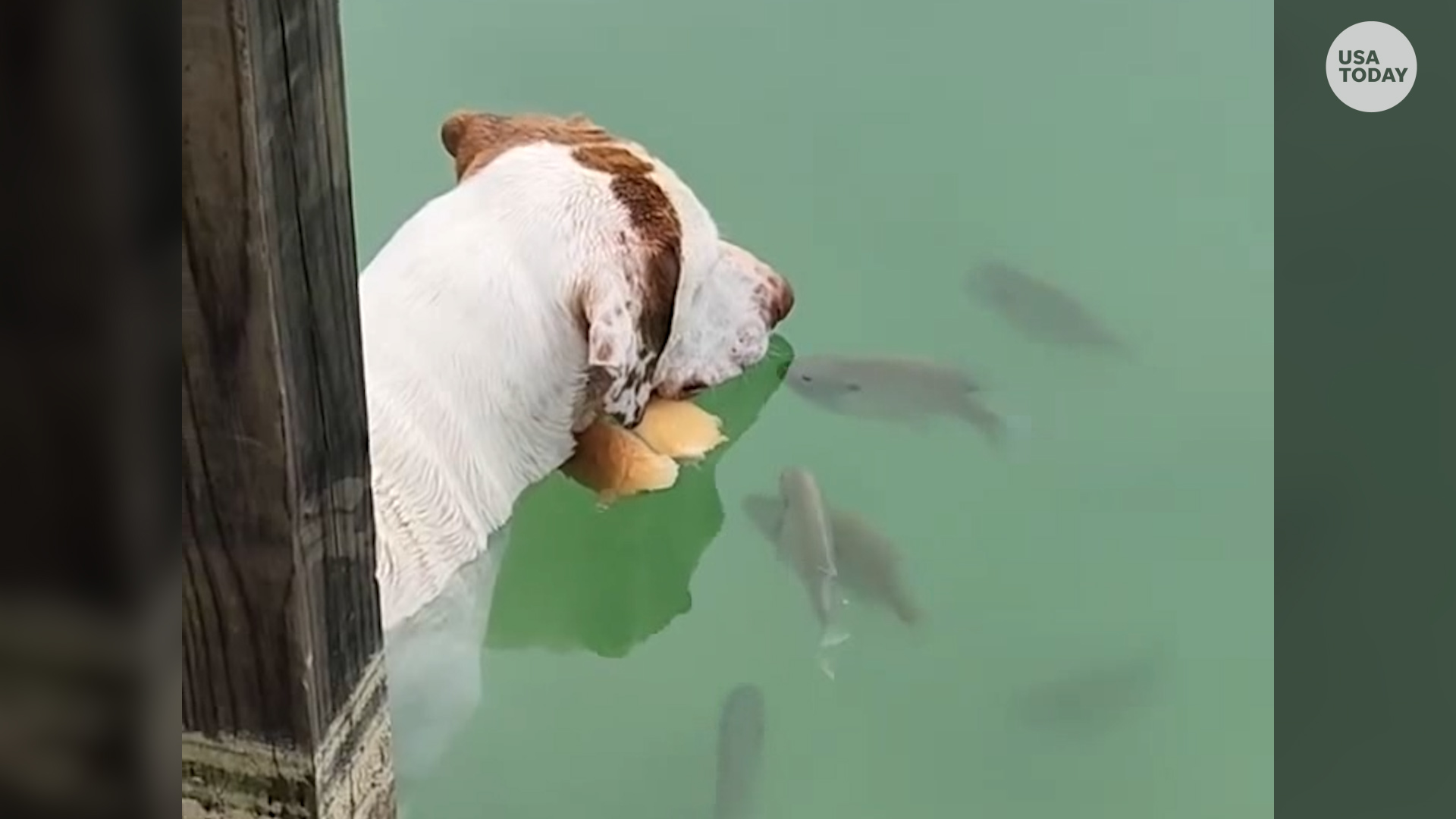 USA TODAY on Twitter: 