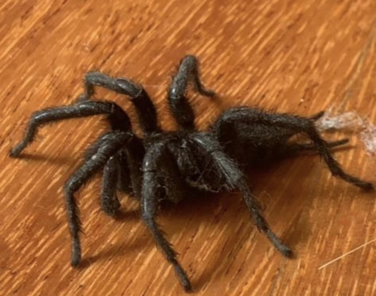 Dr Jérôme BARRIERE, MD. tweet media