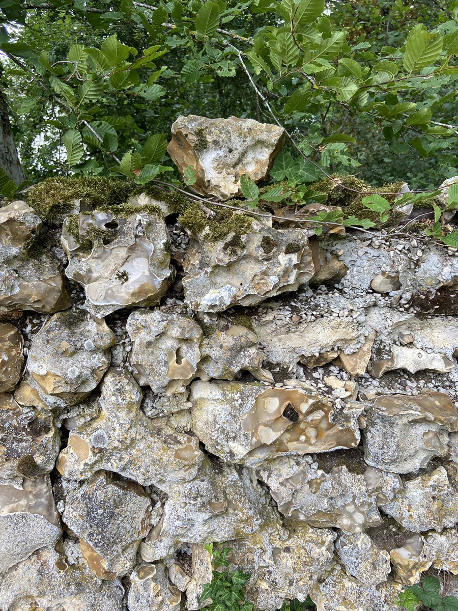 Le saviez-vous ?

Les noms qui se terminent par -s, -x et -z sont invariables !

1. Il aime les quiz.
2. Nous avons des gaz.
3. Elle ne parle à aucun de ses ex. 
4. Il mange des souris au petit-déjeuner.
5. Oh, le beau mur en silex (ci-dessous).