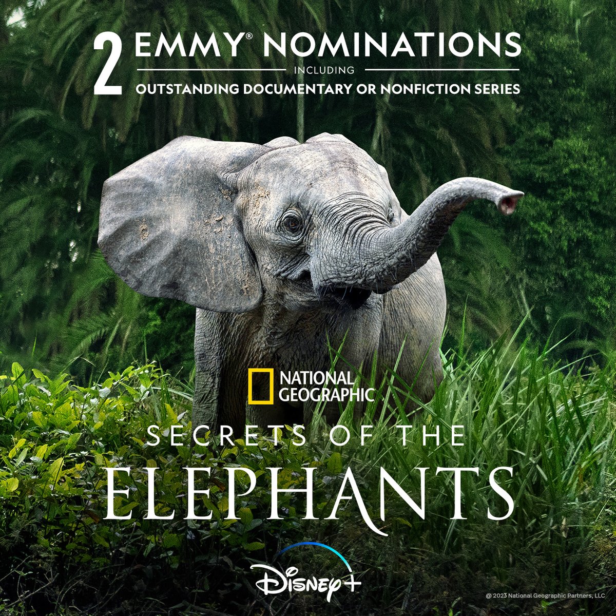 James Cameron tweet media