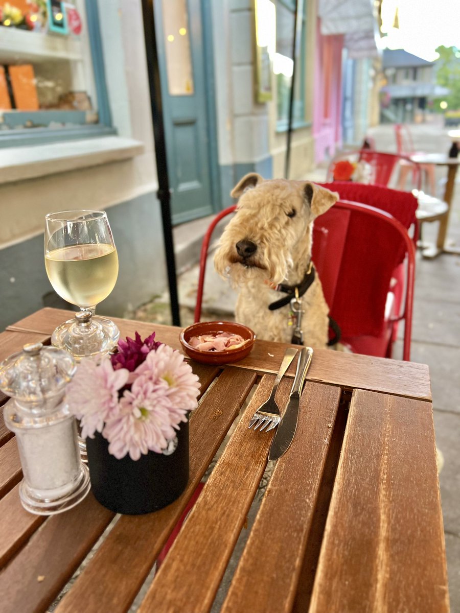 bertie_lakeland's tweet photo. Wednesday night is Ham Night! …… Table for one Mademoiselle, a glass of chilled white and a portion of your finest Ham please 💋 https://t.co/GUIc1HK1Rz