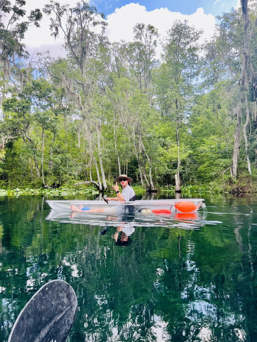 NickPerry8's tweet photo. Had to get my kayak on today. Clear kayak that is…boom! So badass. Got to see gators, turtles and so many fish. Was a blast and a nice workout. #WorkHardToPlayHard https://t.co/btqKC3heAr